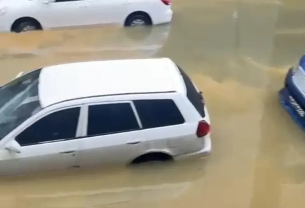 Screenshot 20250916 104104 Gallery 1068x729