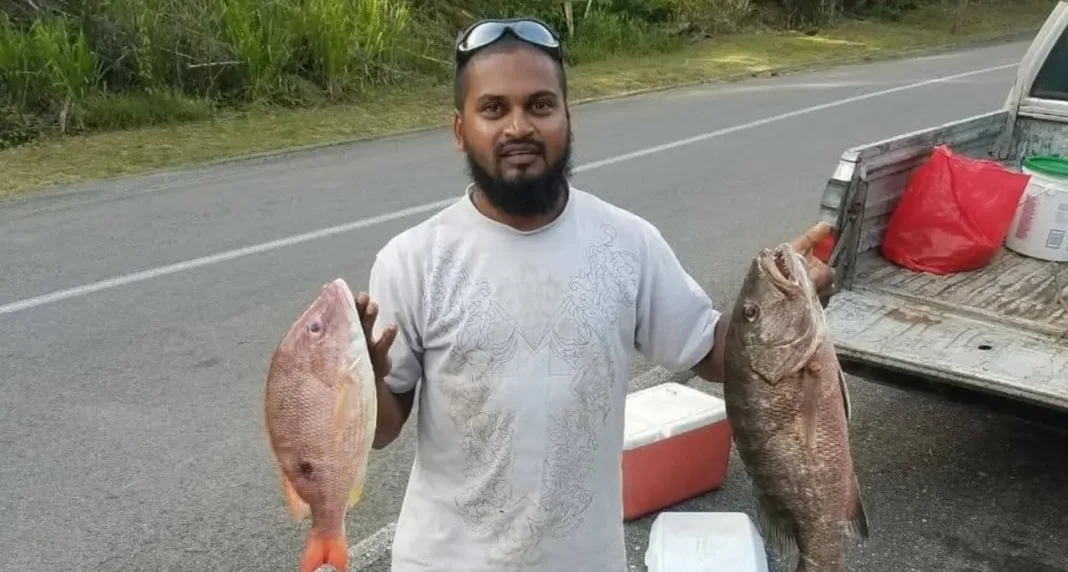 Man Fatally Shot in Williamsville