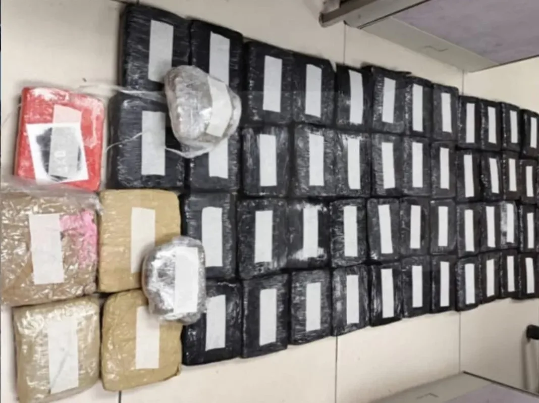 Tmptppn01n9 1068x798