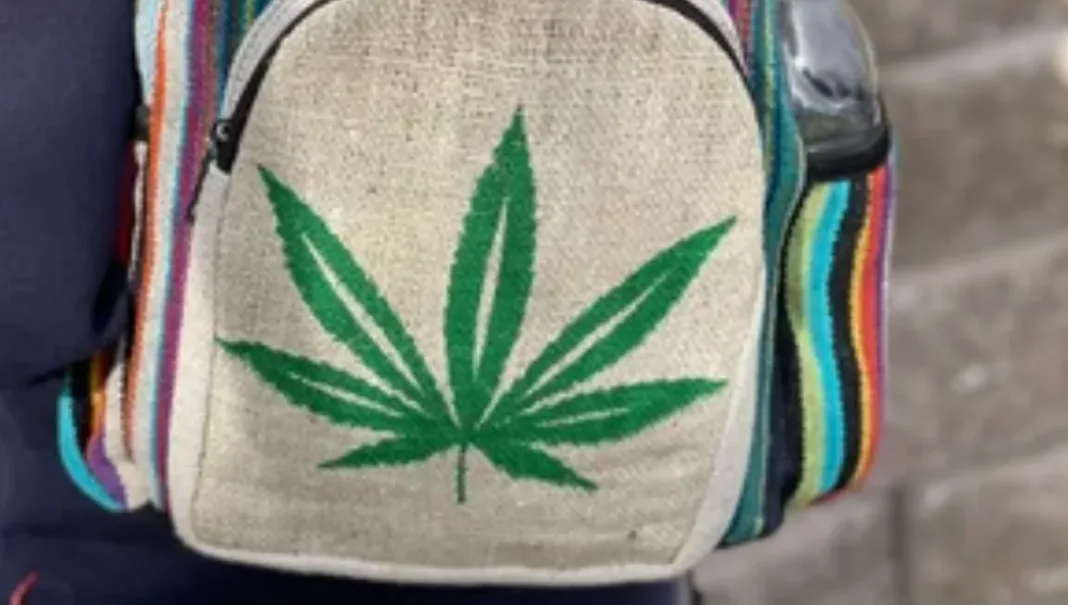 Police Find Suspected Marijuana on School Student