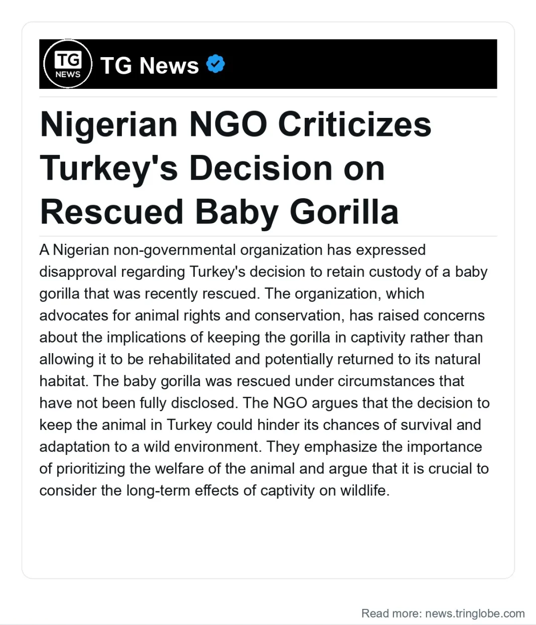 Jamaica: Nigerian NGO Criticizes Turkey’s Decision on Rescued Baby Gorilla