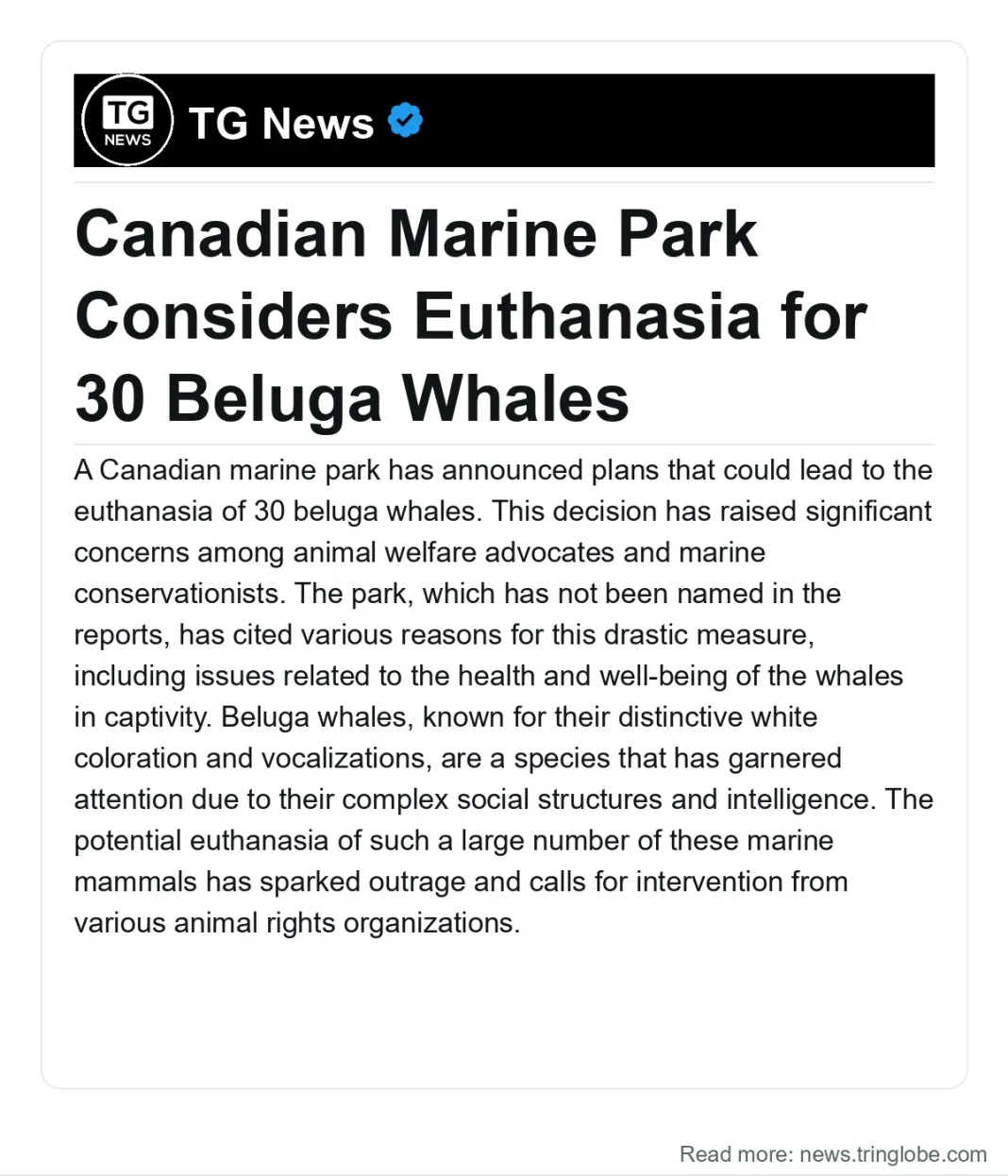 Barbados: Canadian Marine Park Considers Euthanasia for 30 Beluga Whales
