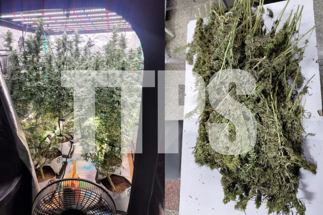 Four Arrested, Drugs Seized in Anti-Crime Operations