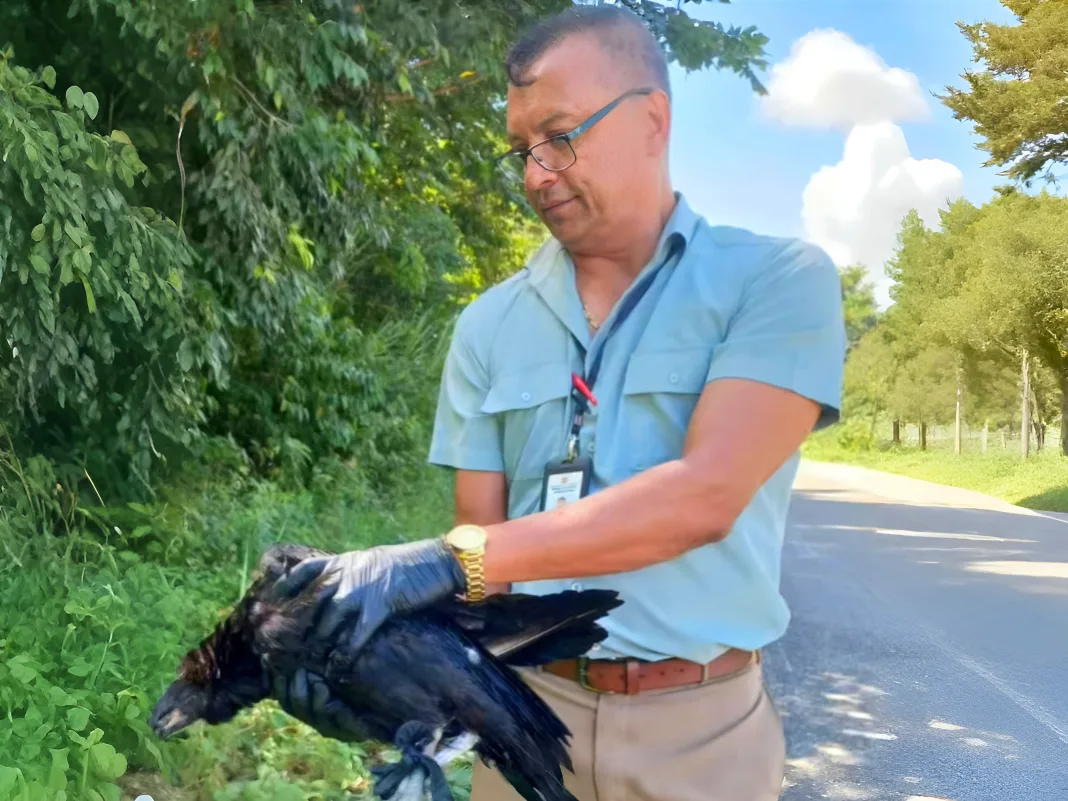 1764277883 4ebec851b06547adb756df07b59da20c 1068x801