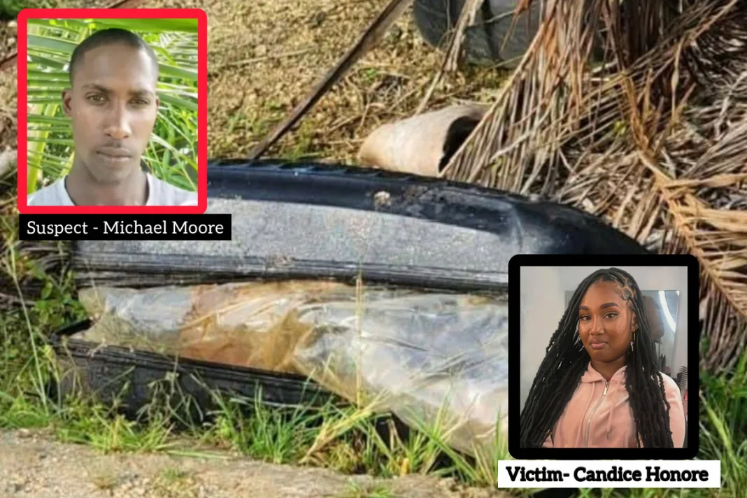 Dismembered Remains Found in Suitcase; Suspect Still at Large | News | Tringlobe Media News