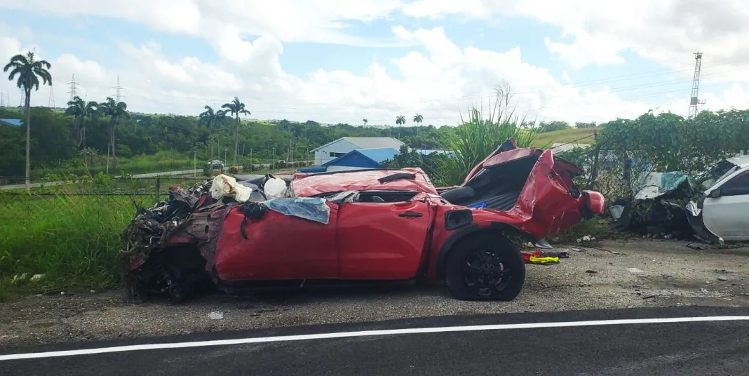 Man Plunges to Death in High-Speed Highway Accident