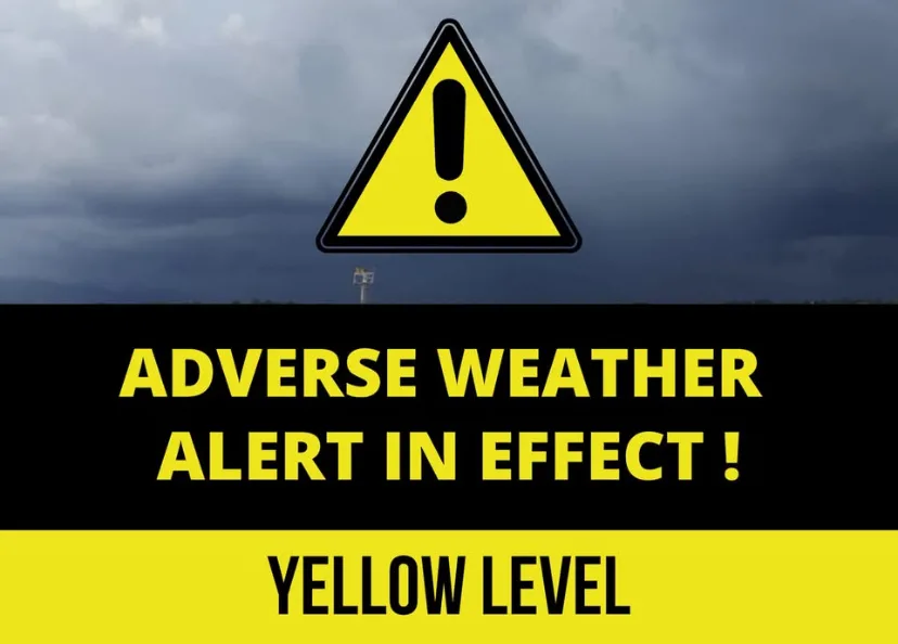 1764703600 D509bd91c54147ff914955b618c9d2e0