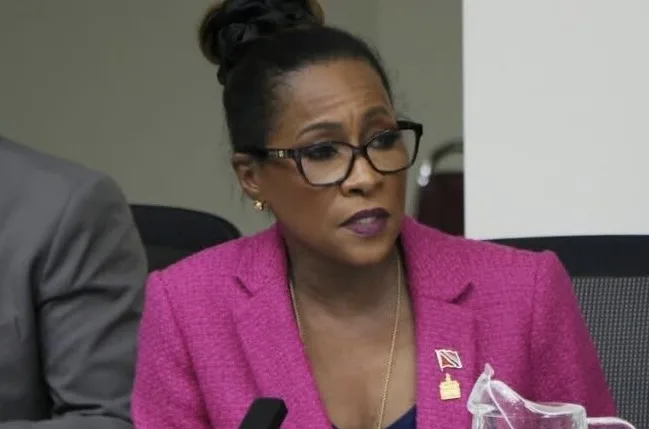 Senator Slams Govt’s ‘Privatisation of Violence’ Bill