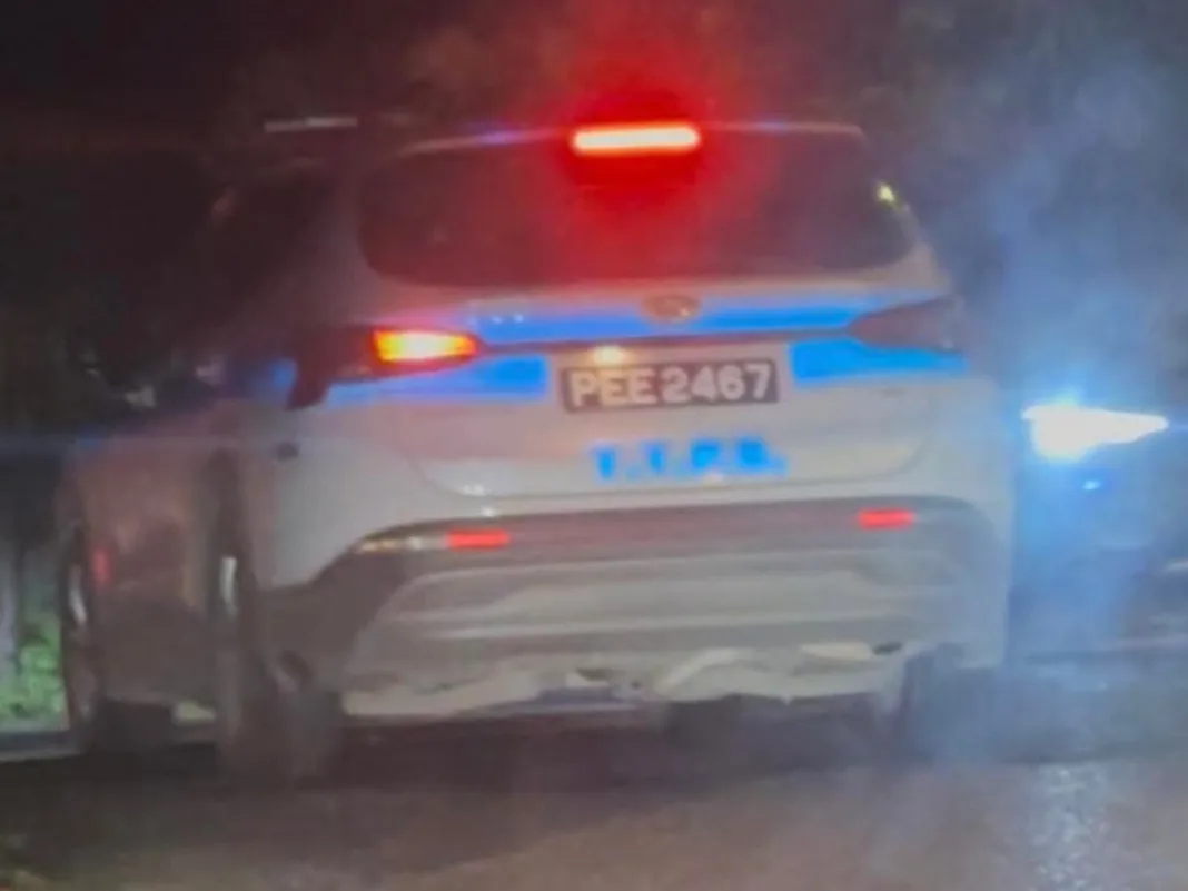 Driver Dinged for Blown Lights, Sparks Legal Fairness Debate