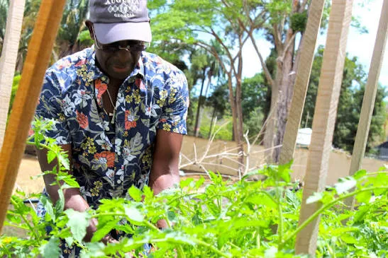 Ex-PM Rowley Accuses Augustine of Poor Governance in Tobago