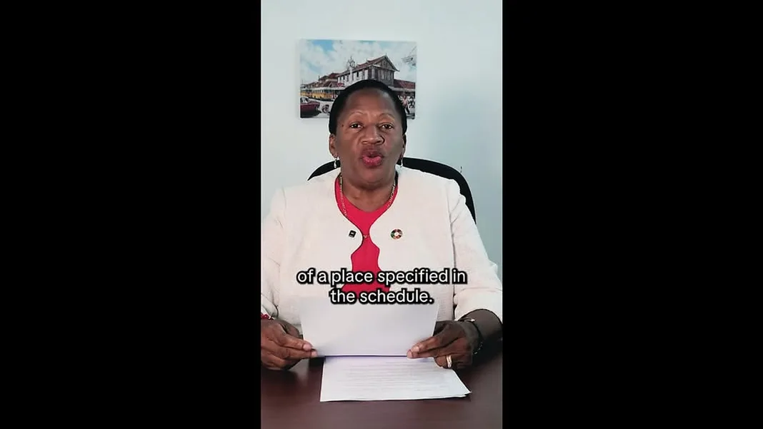 Penny Beckles Claims Democracy Under Threat From New Protest Ban