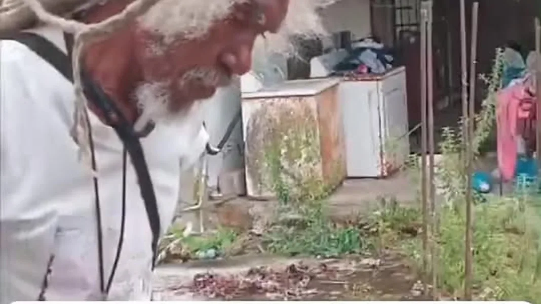 Community Bands Together to Rescue Boa Constrictor in Hardbargain Disruption