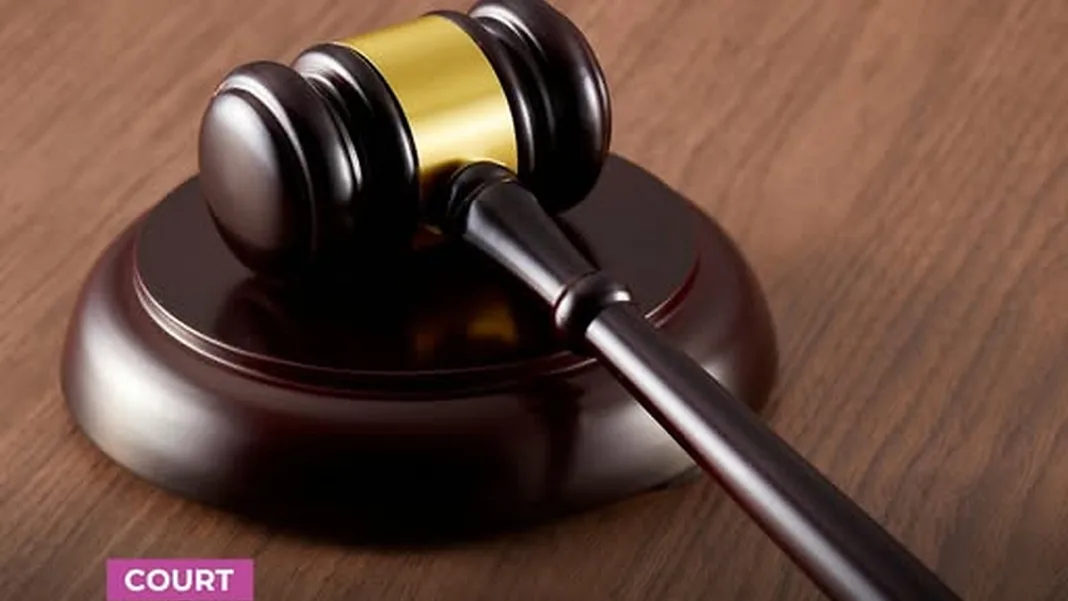 St George Man Denies Assaulting Police, Granted Bail