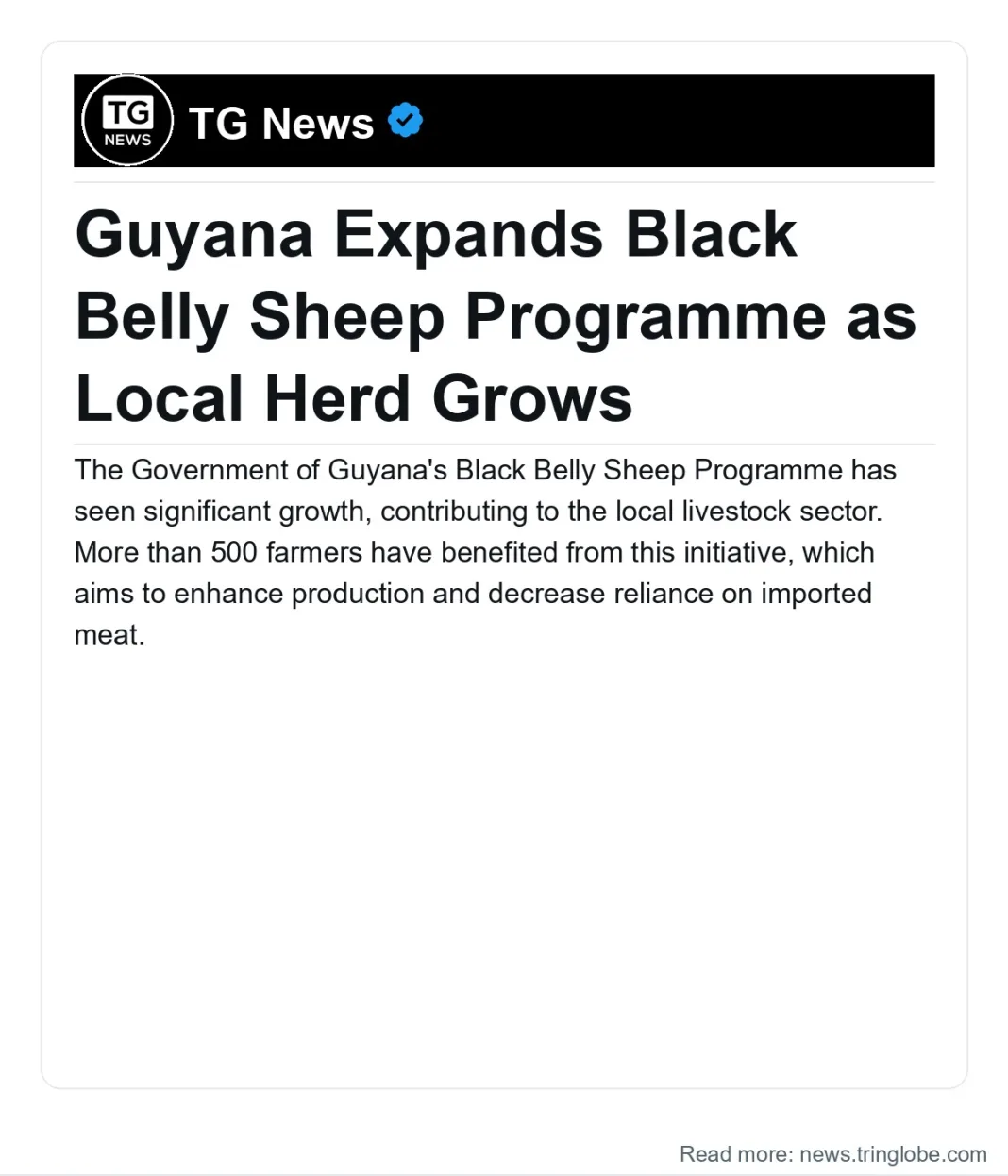 Guyana: Guyana Expands Black Belly Sheep Programme as Local Herd Grows