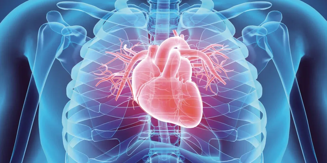 Guyana: Younger Patients Showing Signs of Heart Disease, Doctors Warn