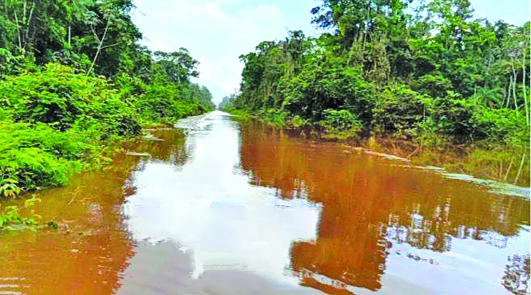 Guyana: Heavy rainfall disrupts some access routes in Region 9