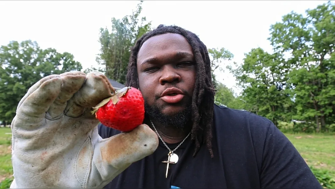 Uncovering the Strawberry’s Shocking Secrets!