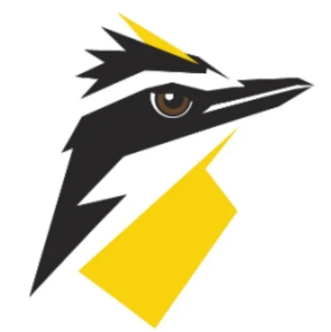 Guyana: New Online Newspaper Kiskadee Watch Introduces Alternative Funding Model
