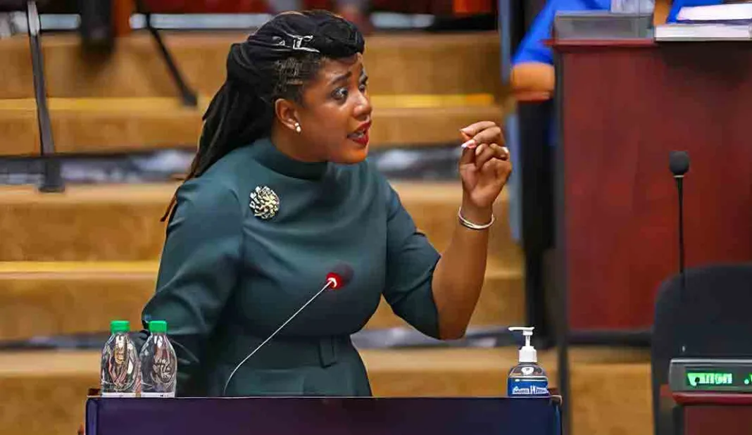 Guyana: MP Questions Effectiveness of Government Interventions for Underage Pregnancies in Guyana