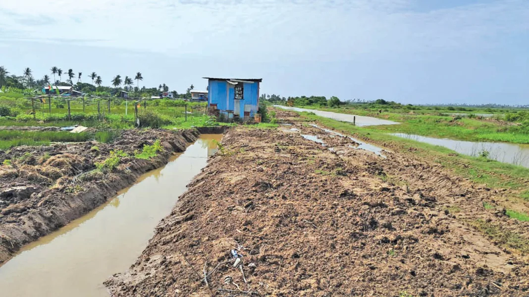 Guyana: Construction of Canal Delayed Due to House on Proposed Path in Guyana