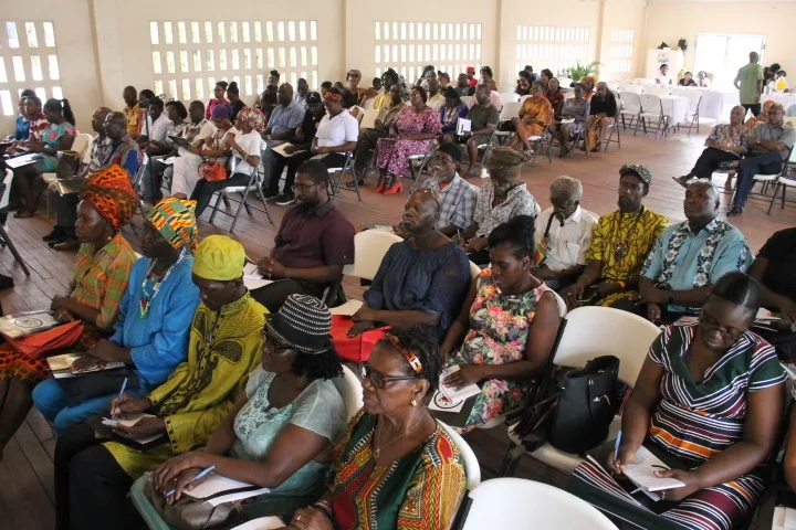 Guyana: High Court Rules on Government Funding for IDPADA-G