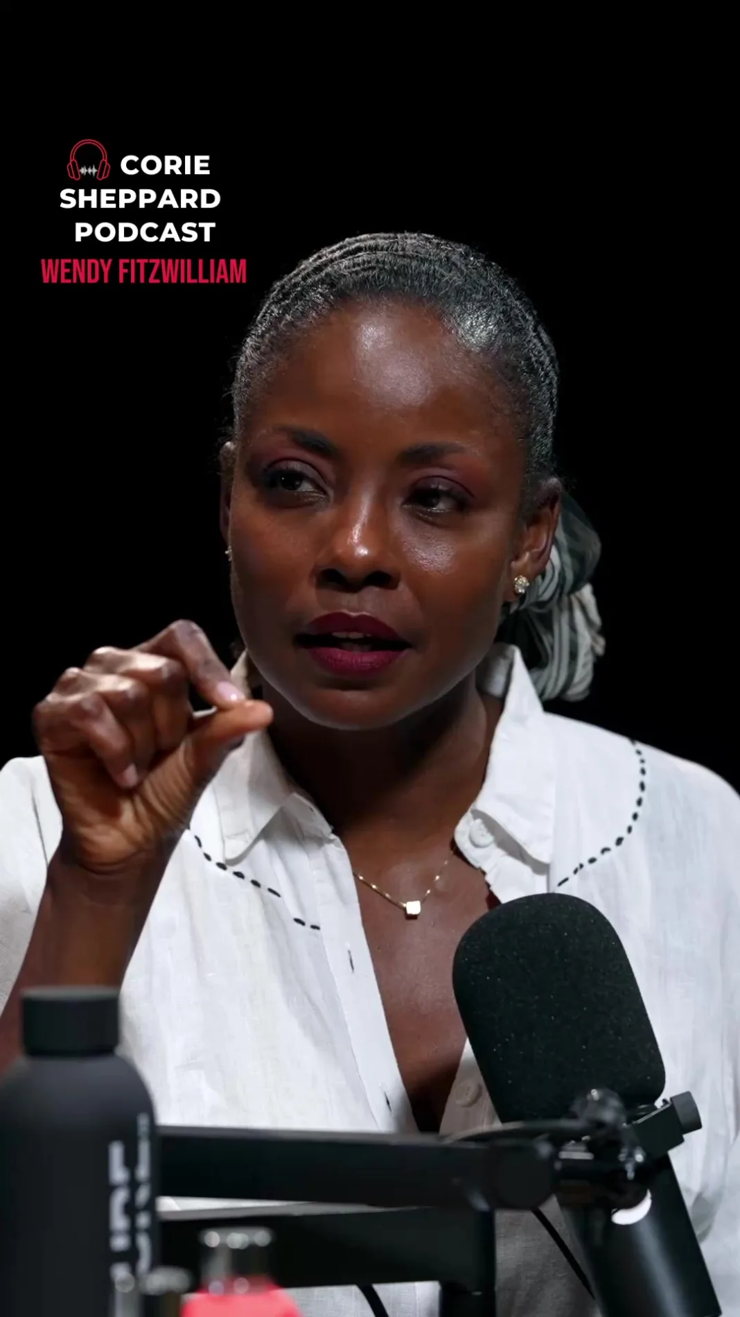 Wendy Fitzwilliam Shares Insight on Success Jealousy in Trinidad and Tobago
