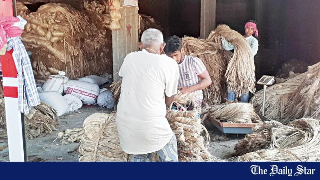Jute Boom: Good Yield, Stable Prices Boost Trade in South-Western Bangladesh