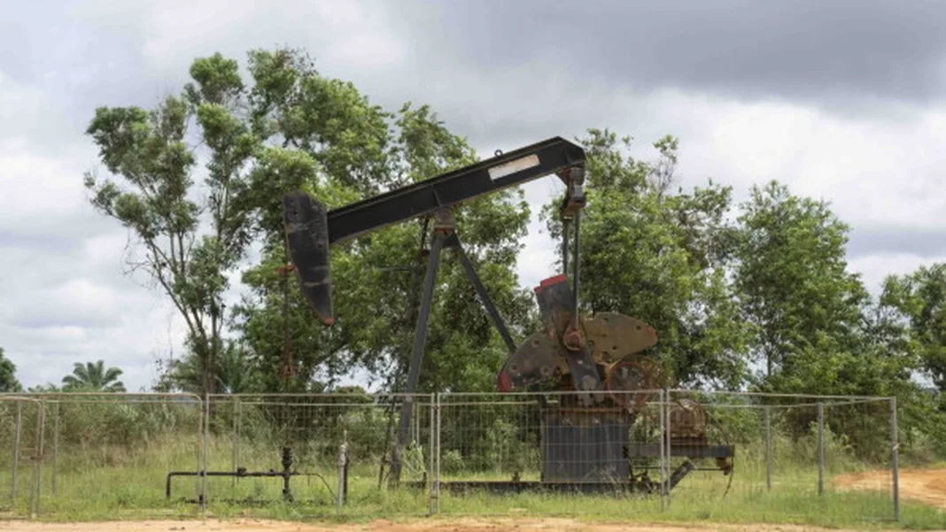 Congo Extends M’Boundi Oil Field License, Securing Key Source of National Revenue