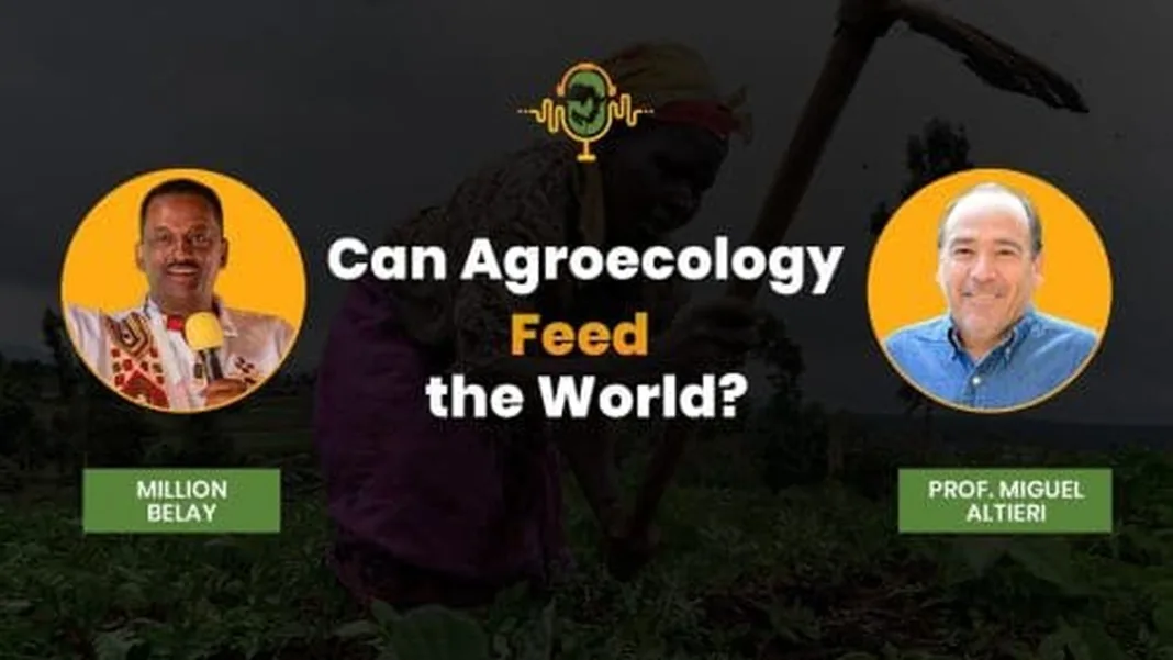 Altieri Warns Agroecology Movement Is Losing Its Political Edge to Institutional Co-Option
