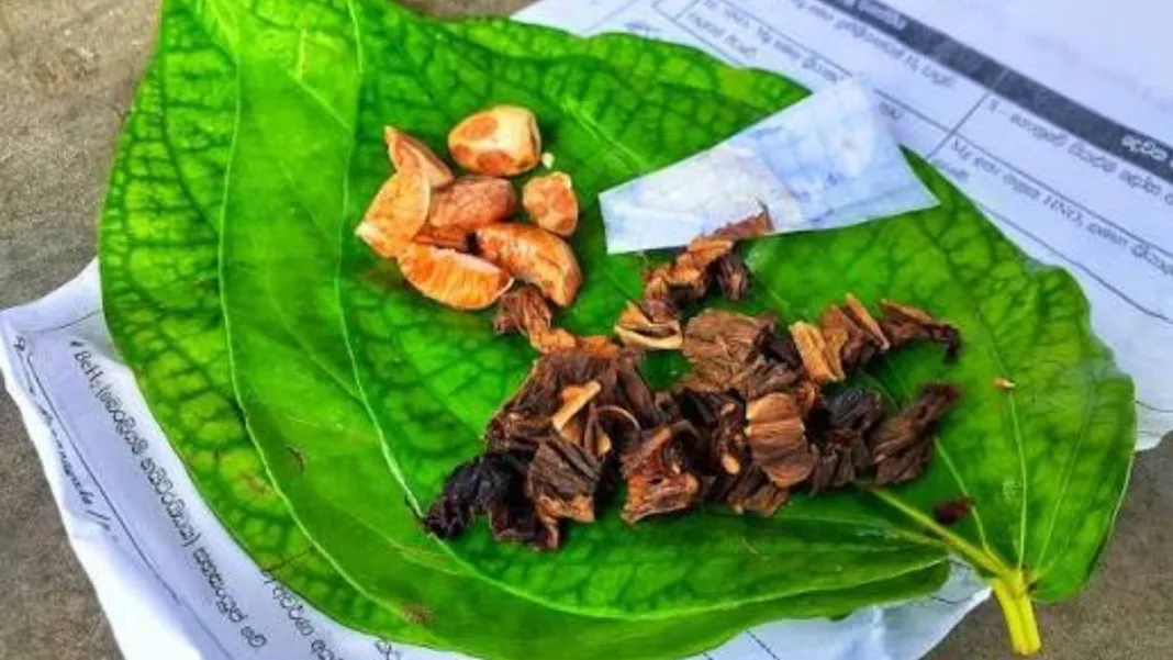 Strict Legal Action to Ban Tobacco-Mixed Betel Quid Trade Over Oral Cancer Fears