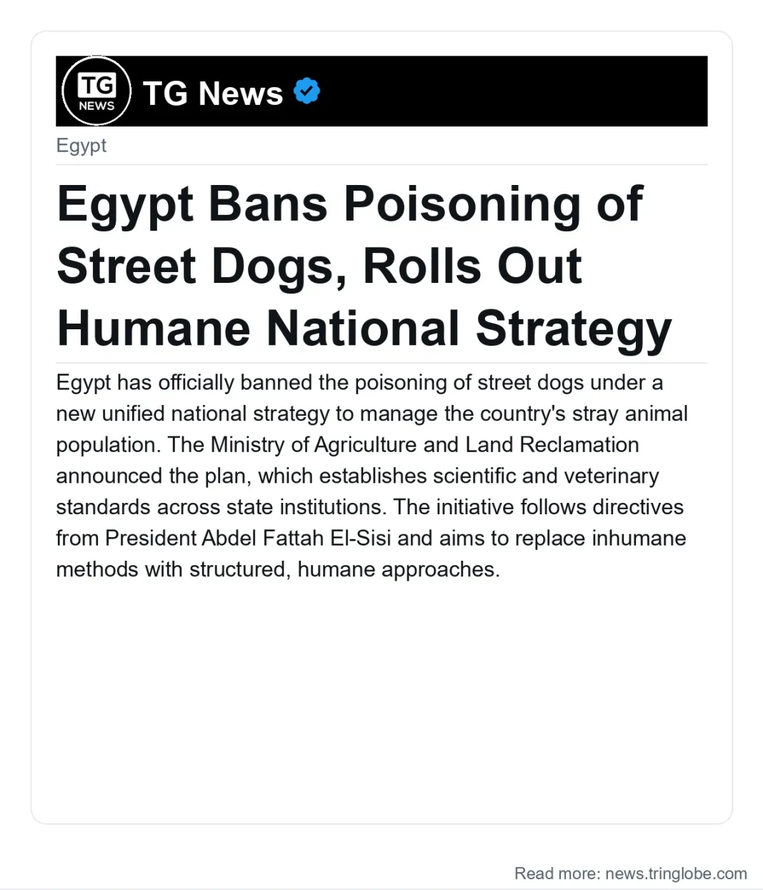Egypt Bans Poisoning of Street Dogs, Rolls Out Humane National Strategy