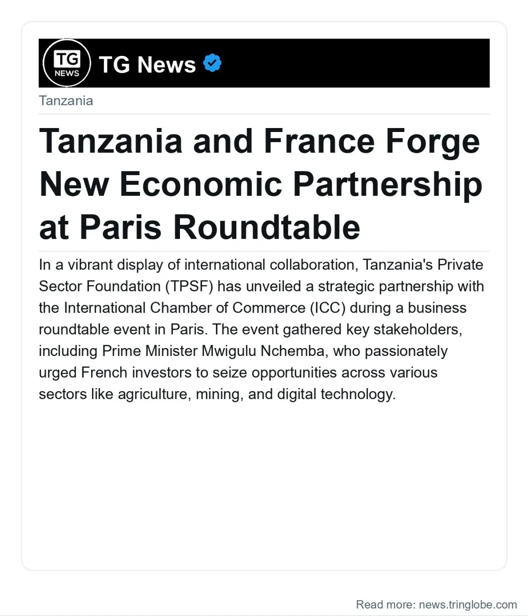 Tanzania and France Forge New Economic Partnership at Paris Roundtable