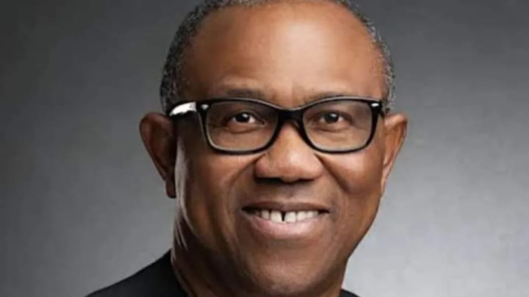 The Odd Quirks of Peter Obi at Sixty-Five: A Character Study by Valentine Obienyem