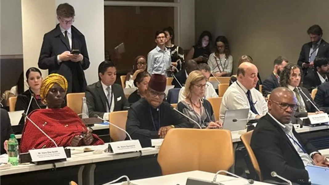 Liberia Appeals for $1.25 Billion at UN to Electrify 75% of Population by 2030