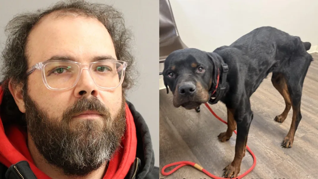 Vermont Man Convicted of Abusing Dog Sues New York Over Sex Offender Listing