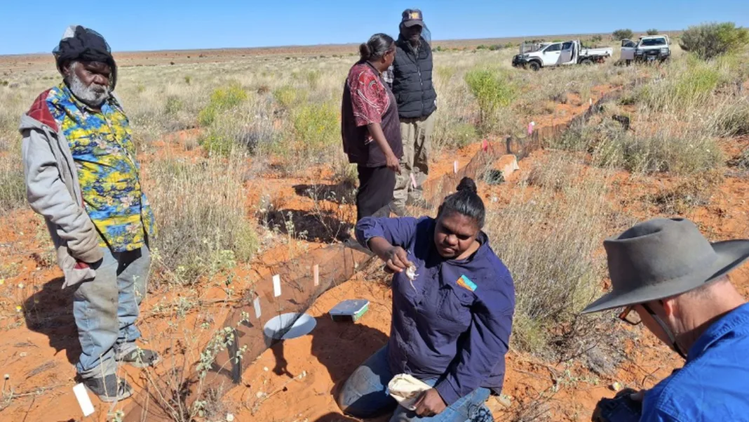 Simpson Desert Seized by Secrecy: CLC Takes Control Without Transparency