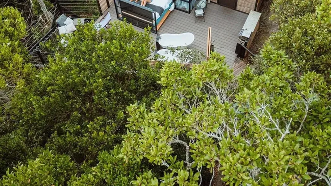 Tsitsikamma’s Stargazing Cube named BBC Lifestyle’s top hidden gem