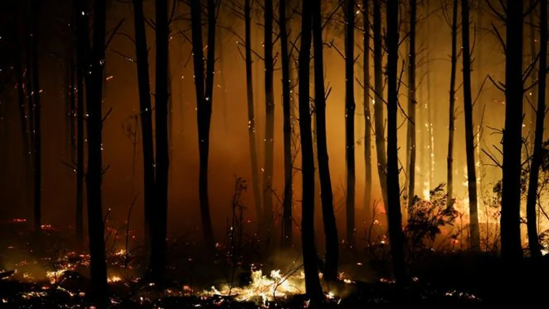 Thousands Evacuated as Wildfires Ravage Parts of Southern France, Italy, and Spain