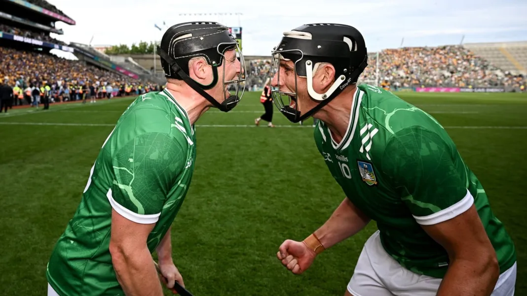 Limerick Name Starting XV for All-Ireland Hurling Final Against Galway