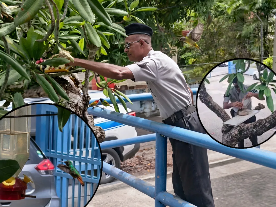 Bird feeding officer reminds public kindness comes in many unexpected forms.