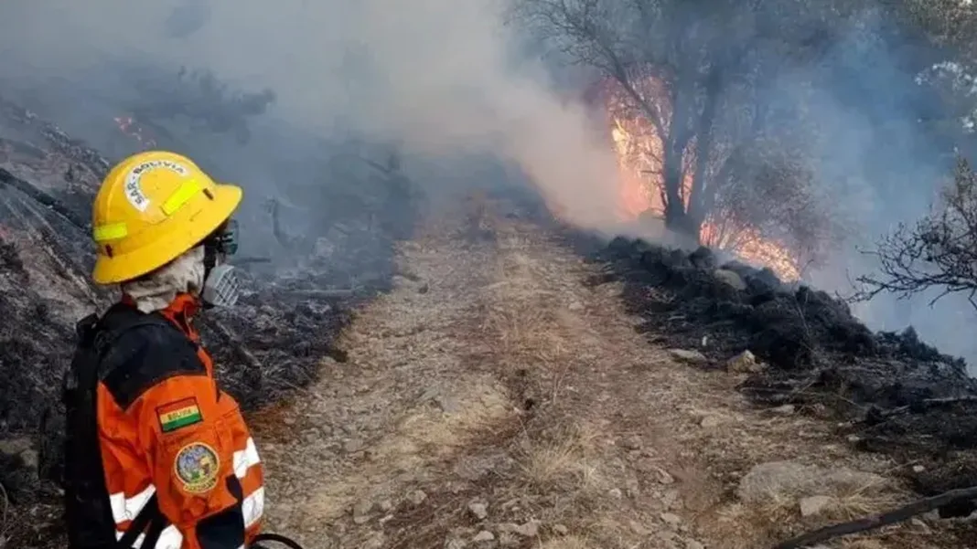 Bolivia Declares Wildfires in Tarija Under Control, Forces Begin Withdrawal