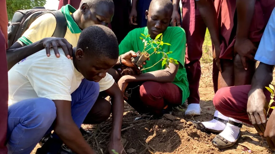 Adjumani Beats Five-Year Tree Planting Target by Nearly 50% in World Bank Forestry Drive