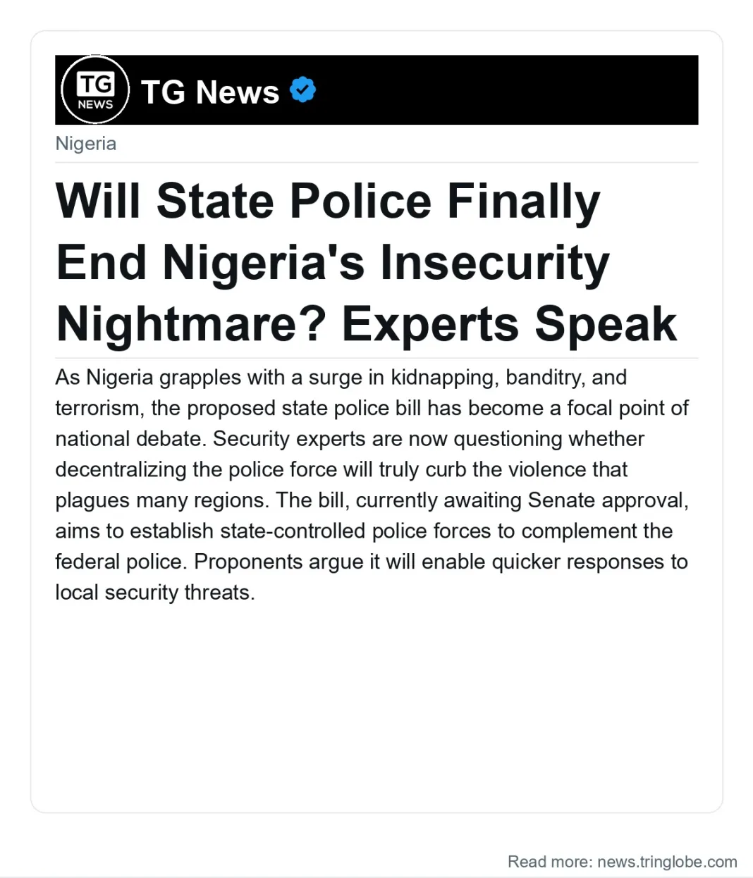 Will State Police Finally End Nigeria’s Insecurity Nightmare? Experts Speak