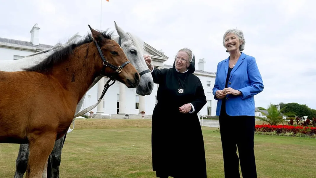Connemara ponies Ruby and Peaceful Pippa return to Áras an Uachtaráin for third summer