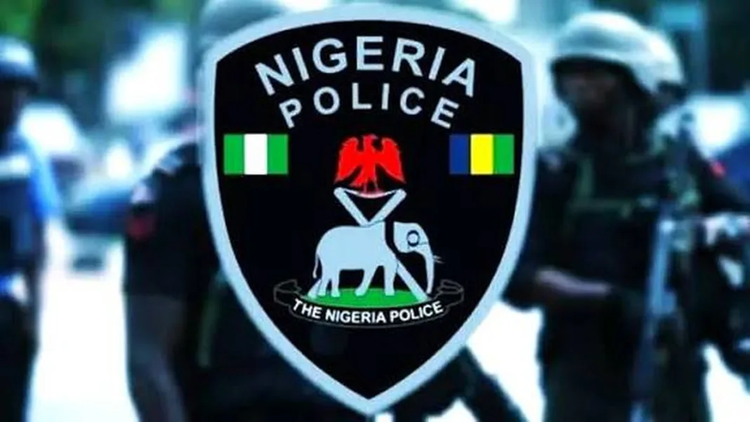 Police Arrest Two Over N39.2m Cyber Fraud, Recover N10.08m in Borno