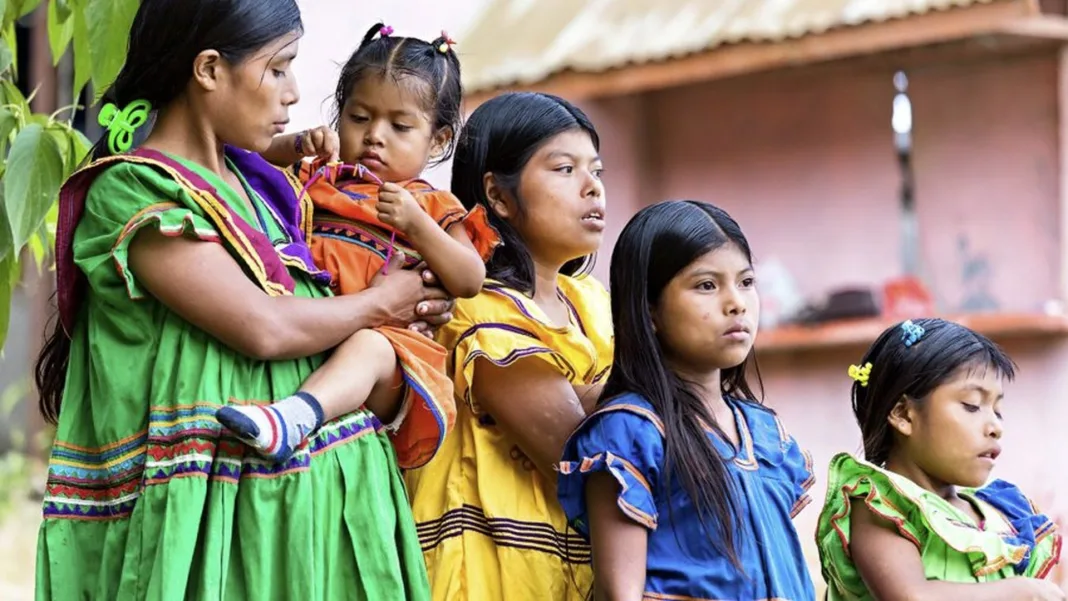 19 Panamanian Children Dead in Costa Rica Coffee Plantations: A Tragedy Unfolds