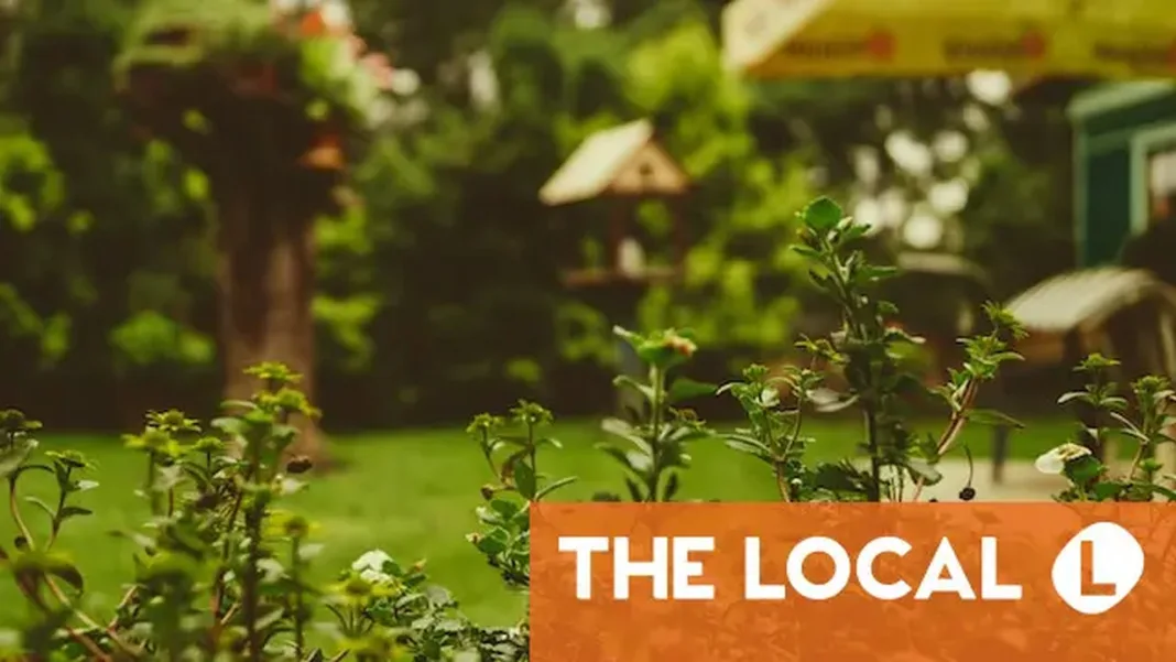 Confused by Swiss garden laws? Here’s what you can and can’t do this summer