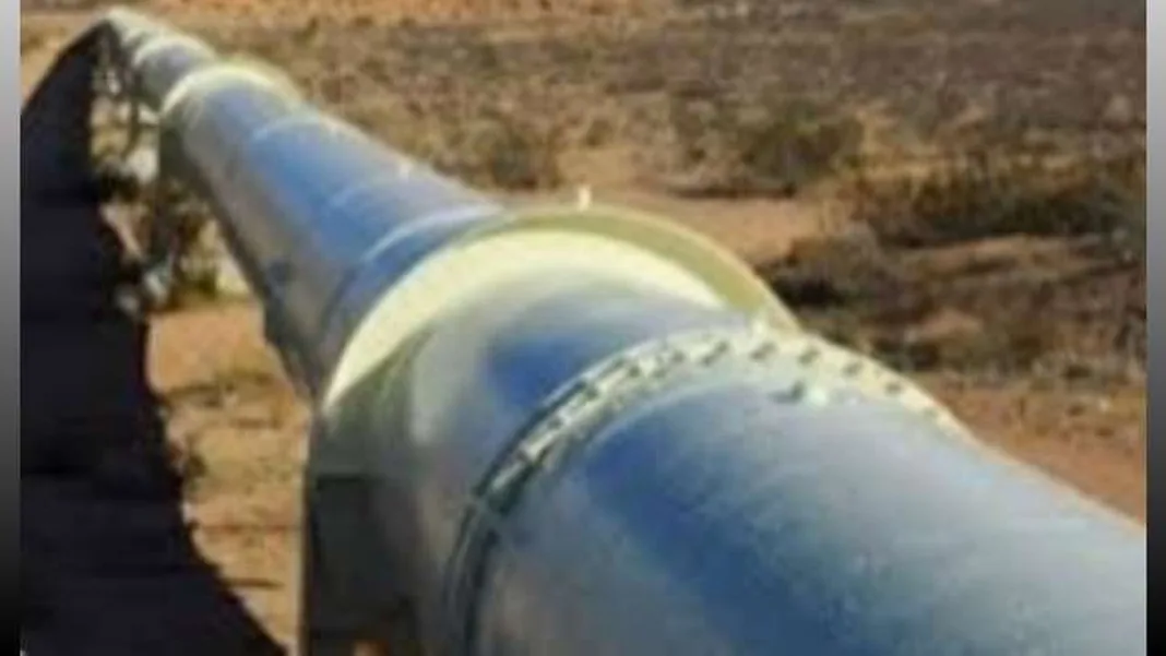 Benin’s Wadagni Bypasses Niger Oil Pipeline Snag with Diplomatic Blitz