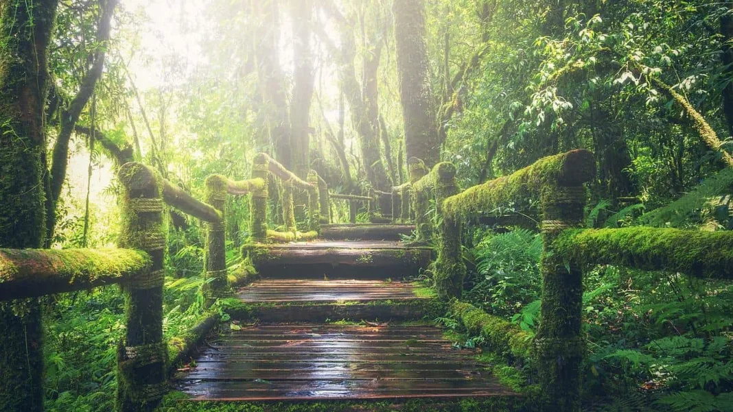 Costa Rica’s Legislative Assembly Let the Escazú Agreement Expire: What It Means for the Environment