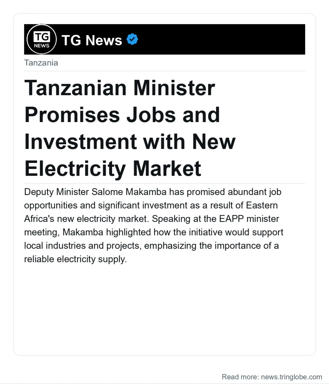 Tanzanian Minister Promises Jobs and Investment with New Electricity Market